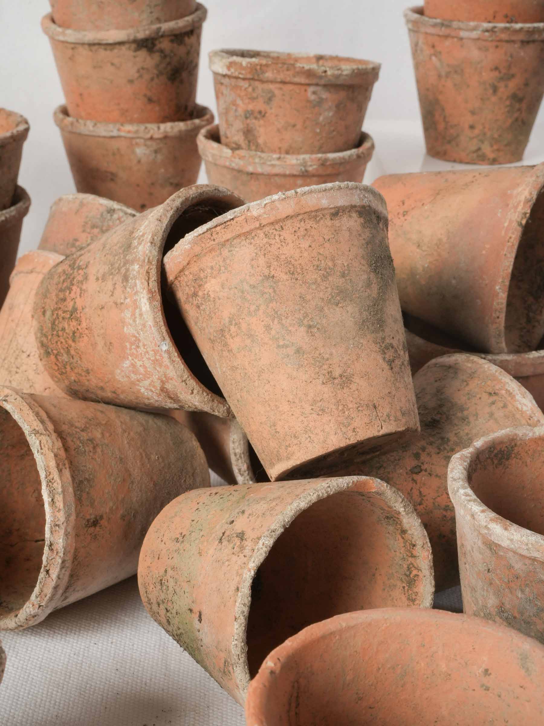 Set of 10 Petite Vintage French Terracotta Seedling Pots - 2¾" x 3¼"