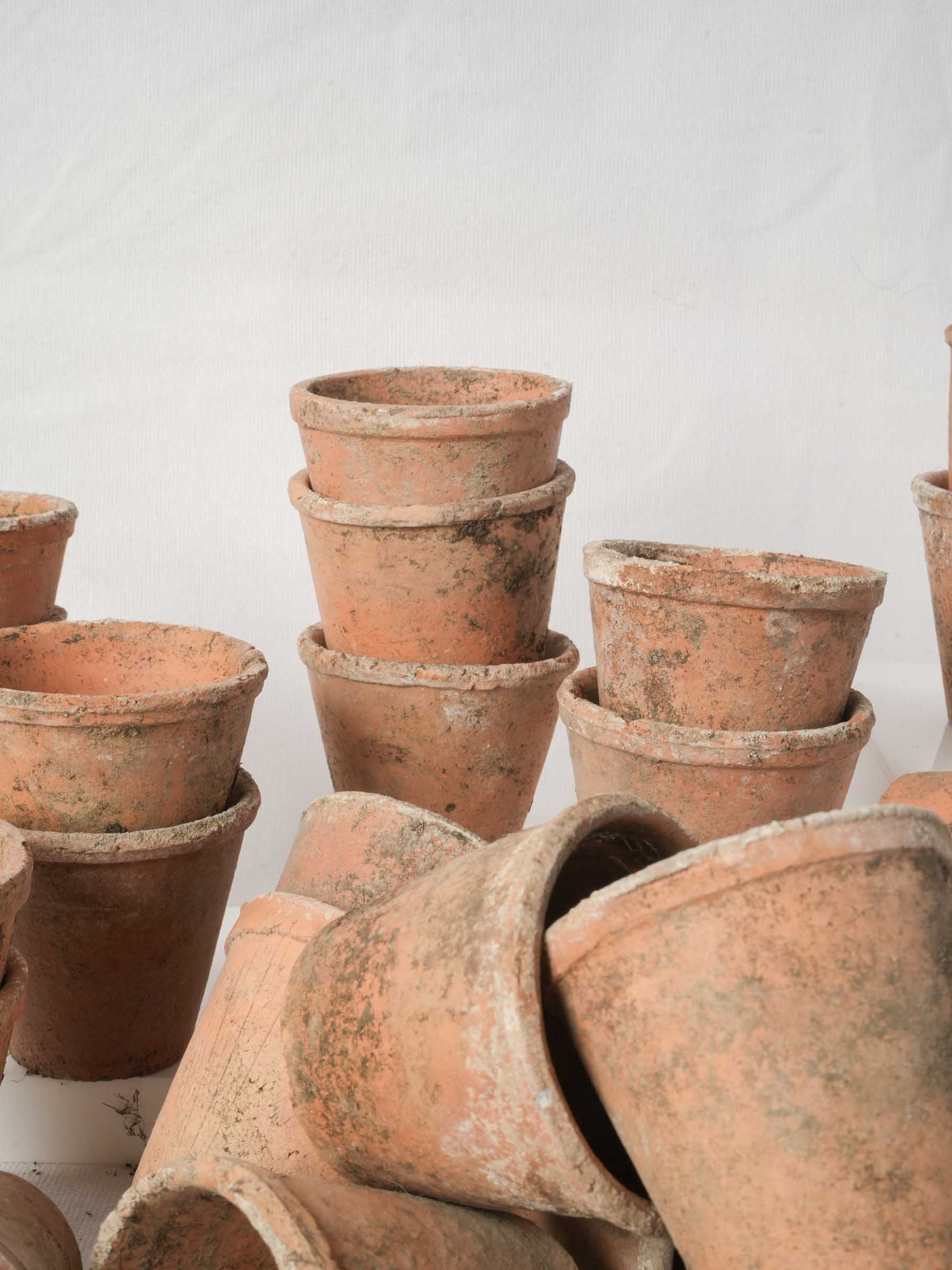 Set of 10 Petite Vintage French Terracotta Seedling Pots - 2¾" x 3¼"