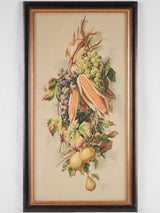 Still life chromolithograph - fruit and corn 26½" x 14½"
