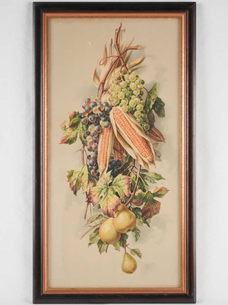 Still life chromolithograph - fruit and corn 26½" x 14½"