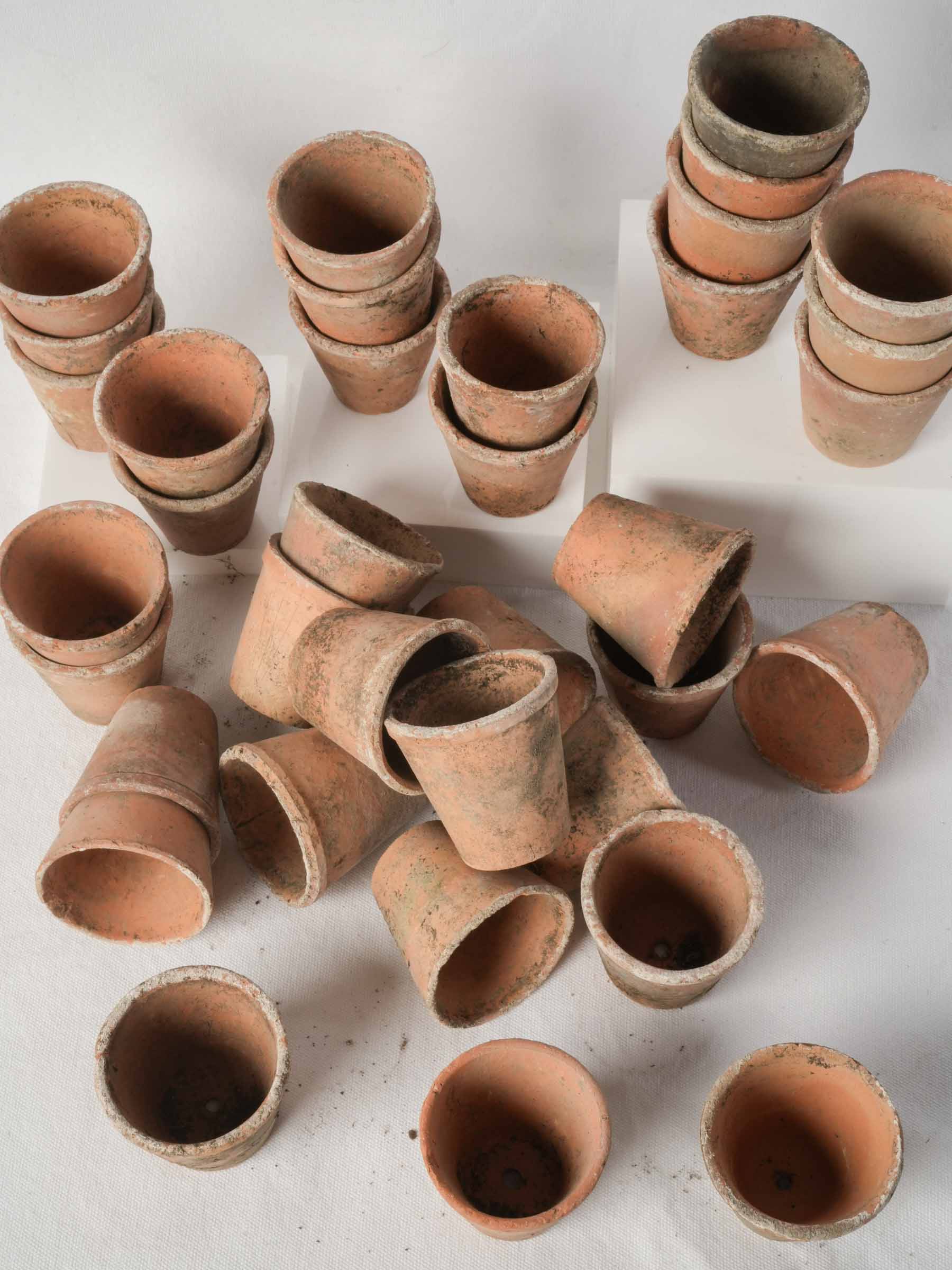Set of 10 Petite Vintage French Terracotta Seedling Pots - 2¾" x 3¼"