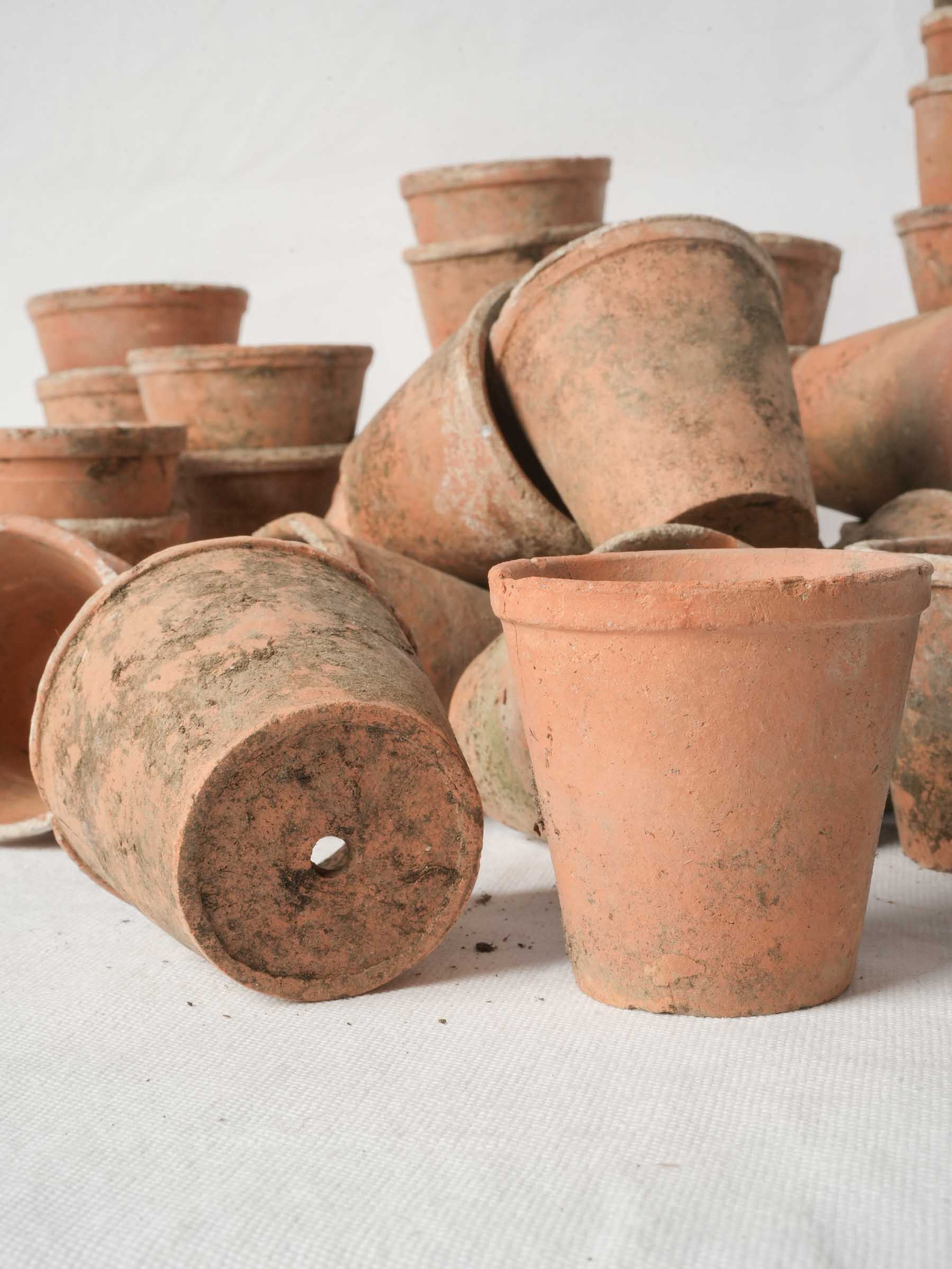 Set of 10 Petite Vintage French Terracotta Seedling Pots - 2¾" x 3¼"