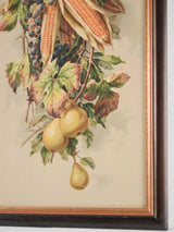 Still life chromolithograph - fruit and corn 26½" x 14½"