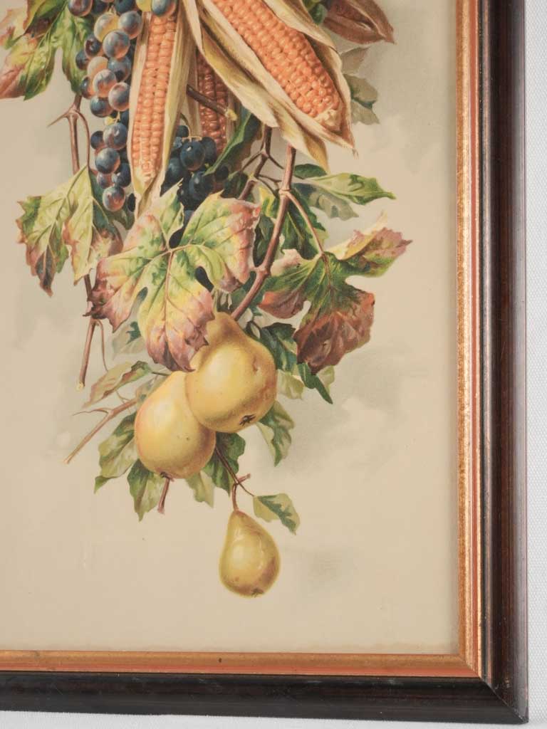 Still life chromolithograph - fruit and corn 26½" x 14½"
