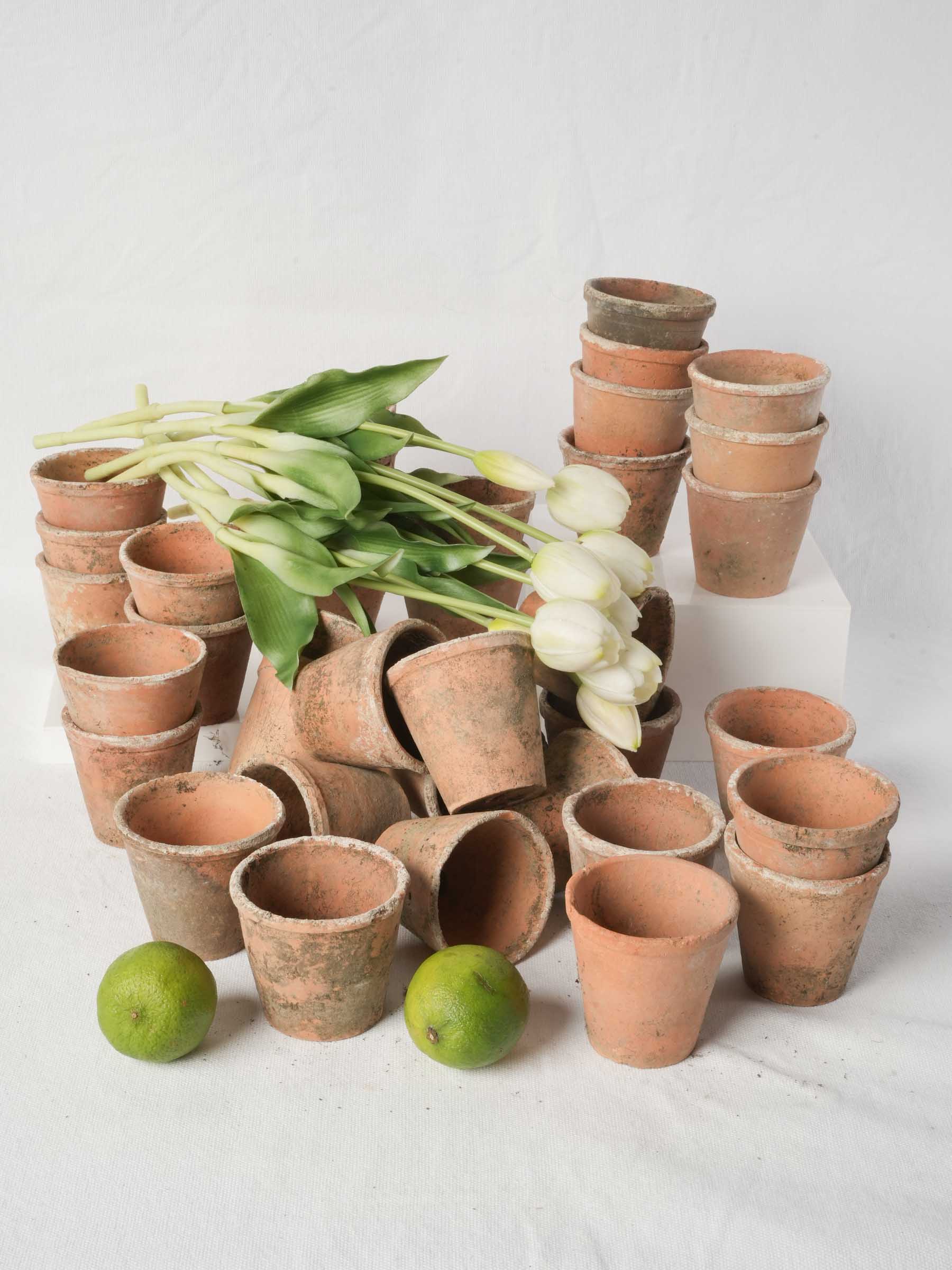 Set of 10 Petite Vintage French Terracotta Seedling Pots - 2¾" x 3¼"