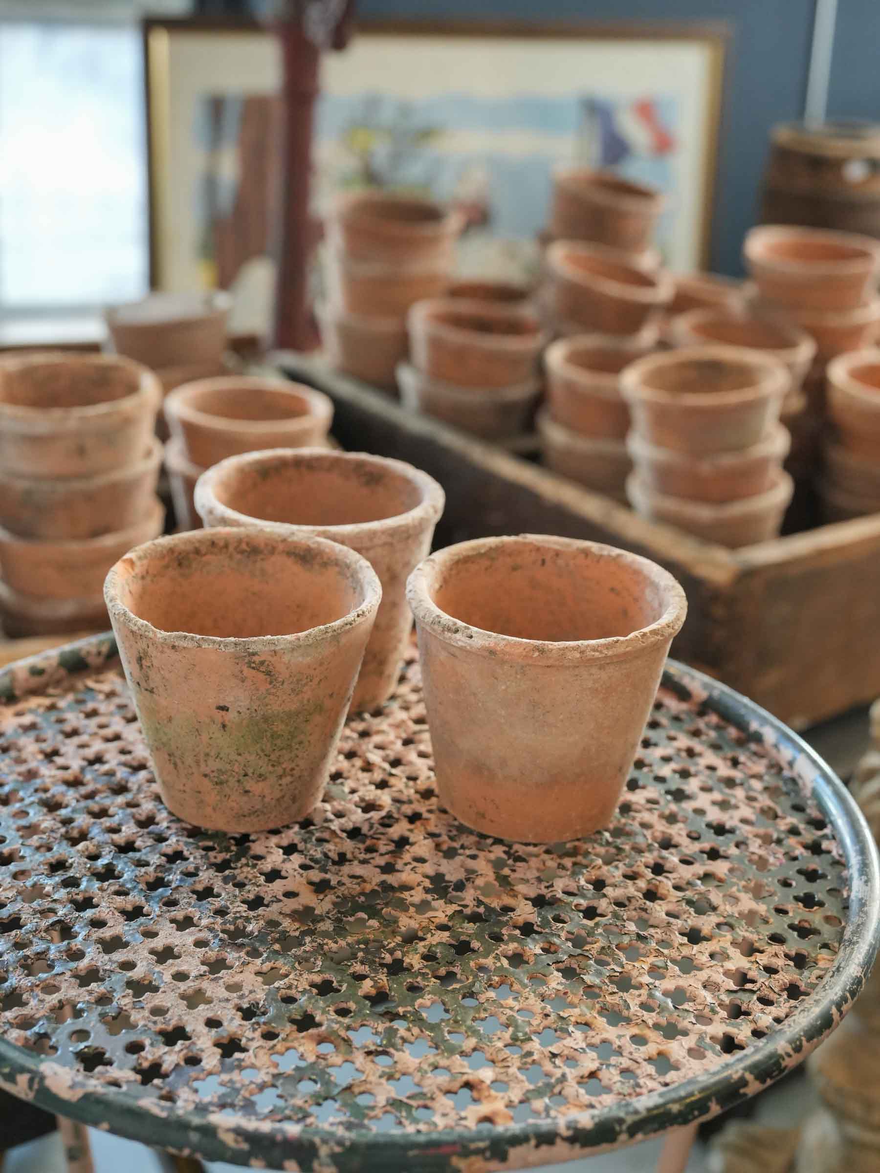 Set of 10 Petite Vintage French Terracotta Seedling Pots - 2¾" x 3¼"