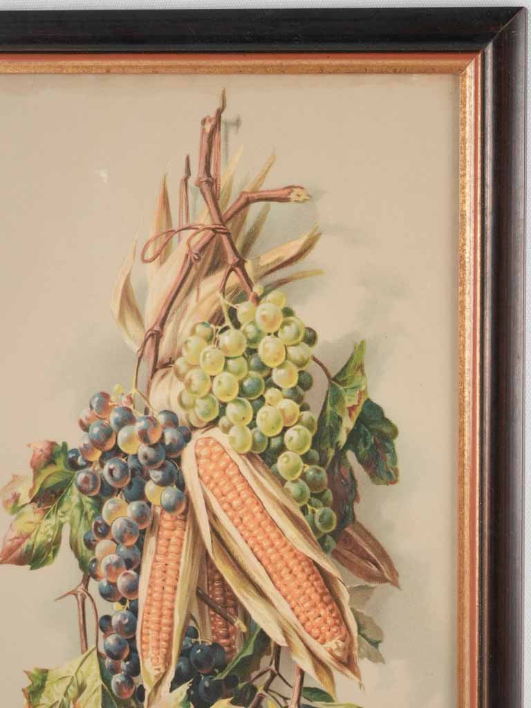 Still life chromolithograph - fruit and corn 26½" x 14½"