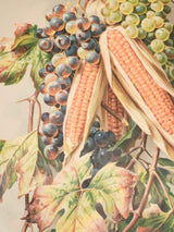 Still life chromolithograph - fruit and corn 26½" x 14½"