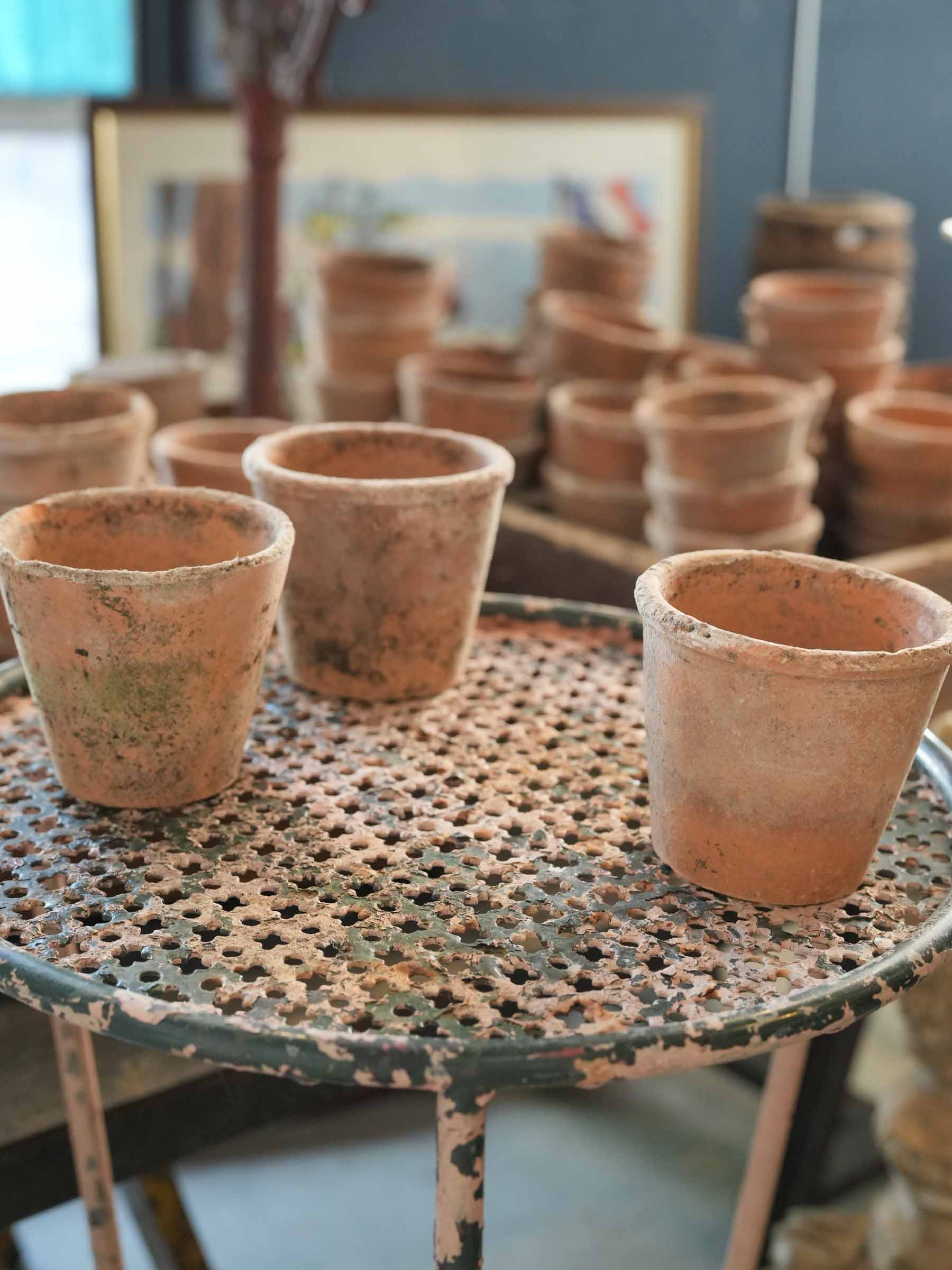 Set of 10 Petite Vintage French Terracotta Seedling Pots - 2¾" x 3¼"