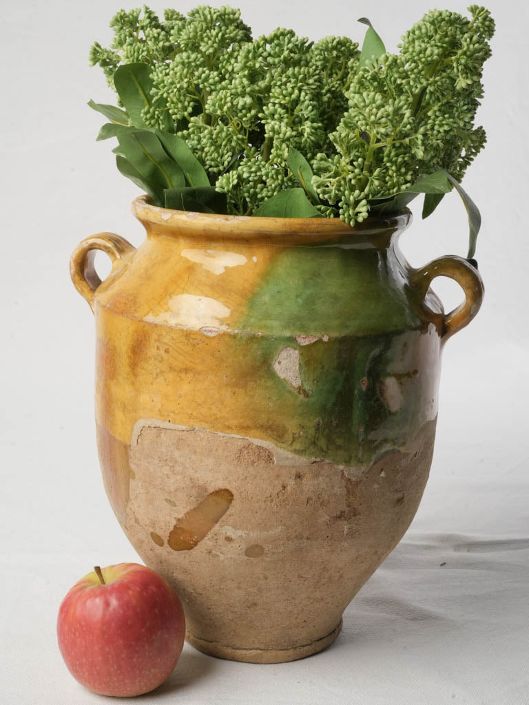Unique celadon rustic confit pot  