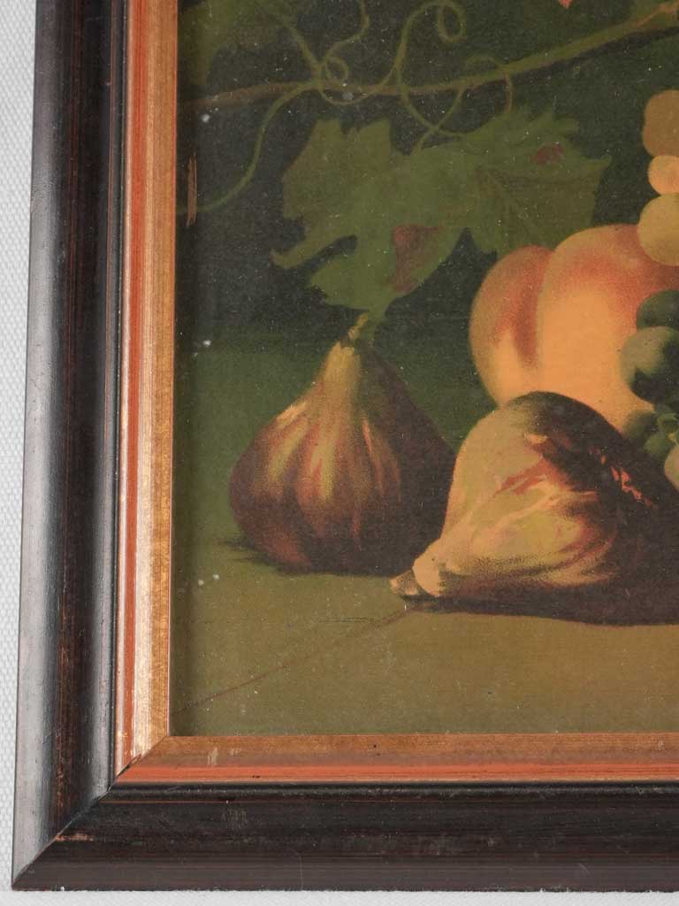 Still life chromolithograph - fall fruit - grapes figs & peaches 15" x 19"