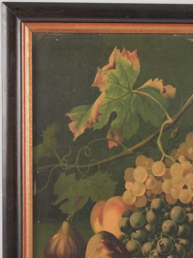 Still life chromolithograph - fall fruit - grapes figs & peaches 15" x 19"