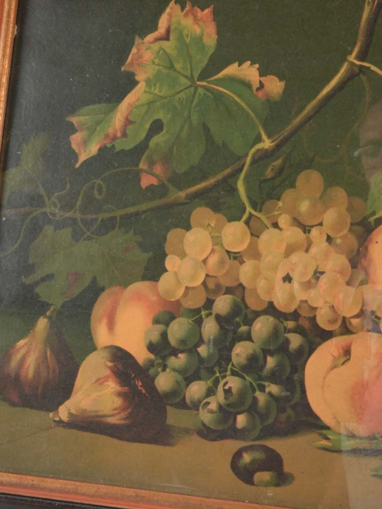 Still life chromolithograph - fall fruit - grapes figs & peaches 15" x 19"