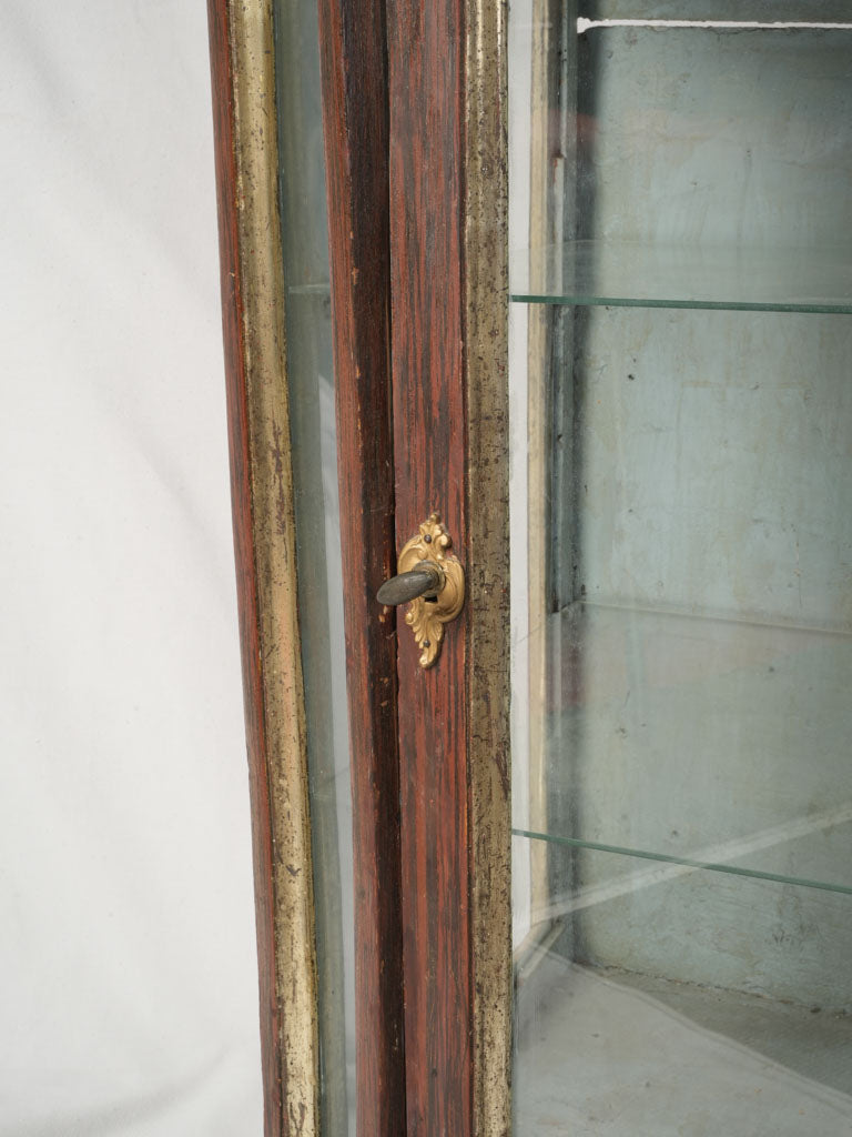 Elegant French blue-backed showcase