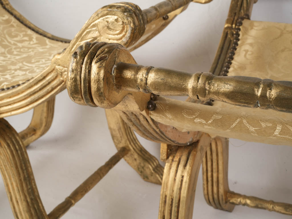 Italian classical revival curule chair  