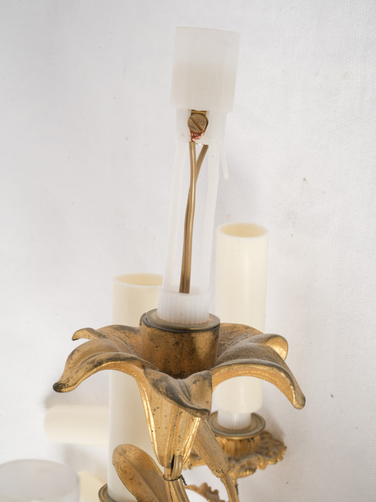 Elegant Gilt Bronze Five Light Floral Wall Sconce - 18½"