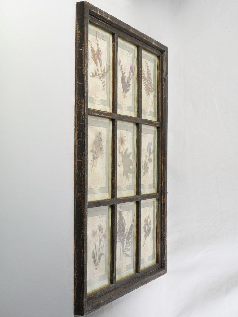 Oversized Italian Artisan Herbarium in the Antique Style - 44" x 32¾"