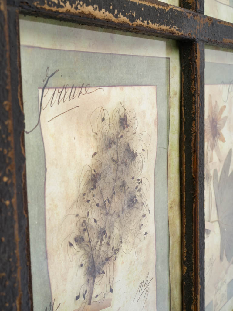 Oversized Italian Artisan Herbarium in the Antique Style - 44" x 32¾"