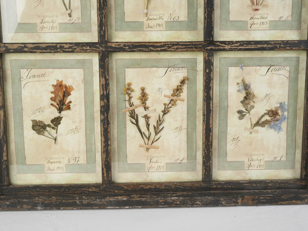 Pink-accented botanical study piece  