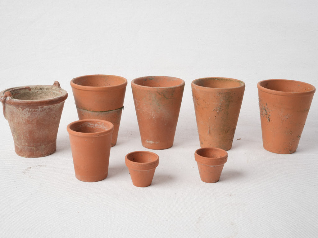 Sculpted design flowerpots
