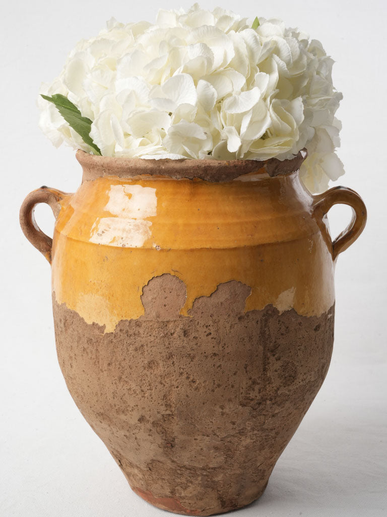 Large French Antique Confit Pot W/ Timeworn Ochre Glaze - 13½"