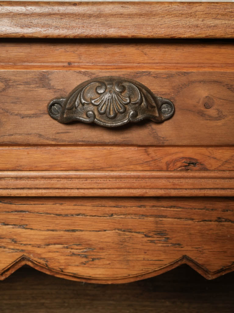 Striking decorative bull's head  