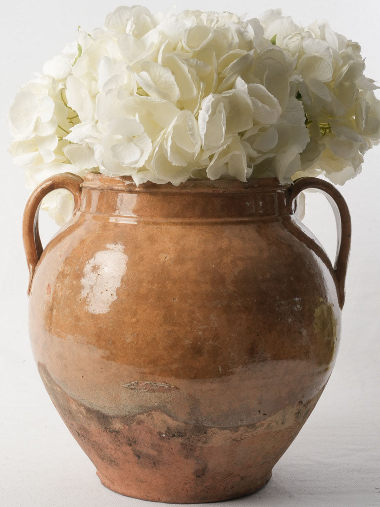 Large 19th-Century French Confit Pot From Cevennes W/ Sienna Glaze - 11"