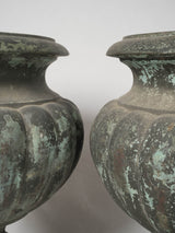 Handsome dark patina Medici urns