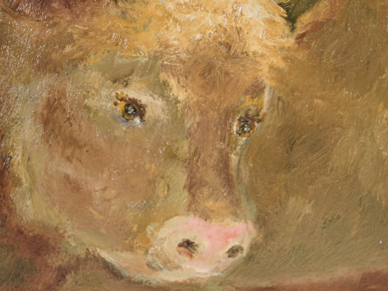 Provencal, framed cow portrait art