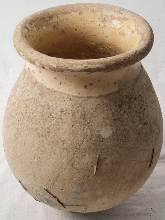 Aged staple-repaired vessel  