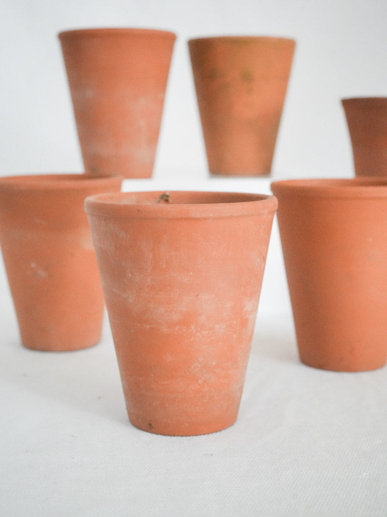 Earthy French terracotta flower pots  