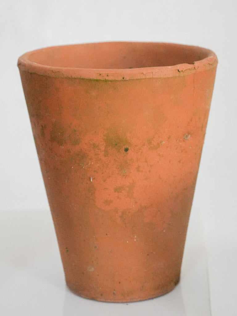 Classic limescale-accented garden pots  