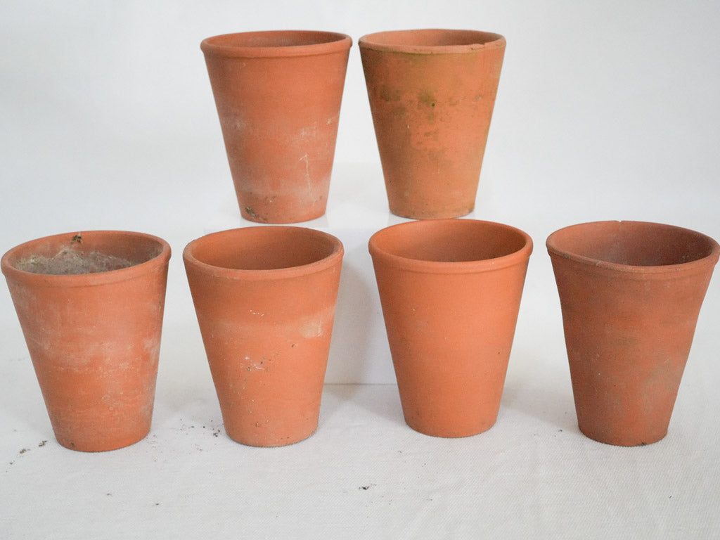 Charming decorative rustic flower pots  