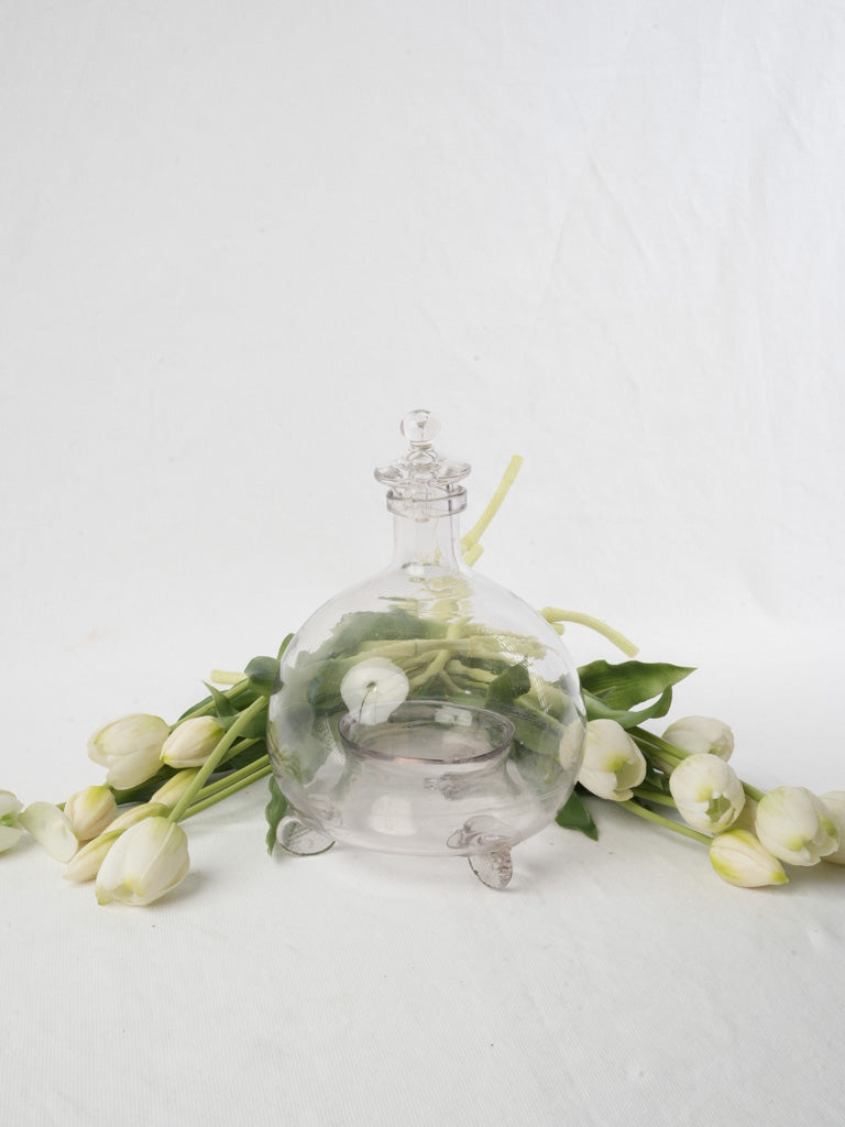 Vintage clear glass wasp trap