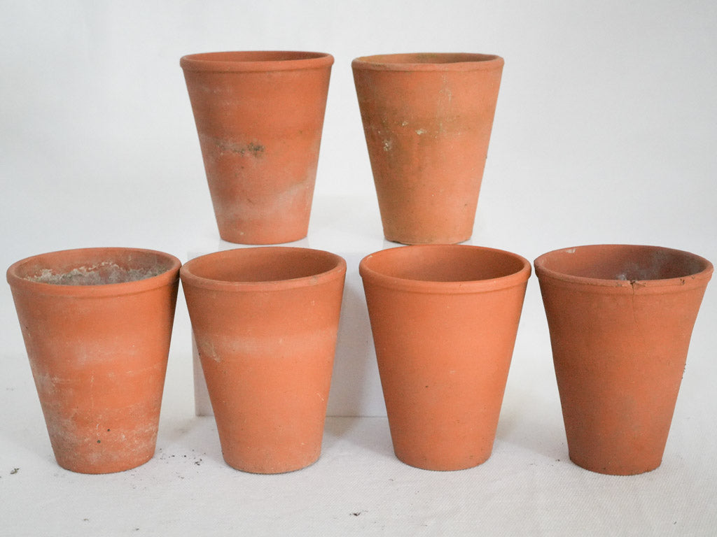 Natural warm-toned terracotta pots  