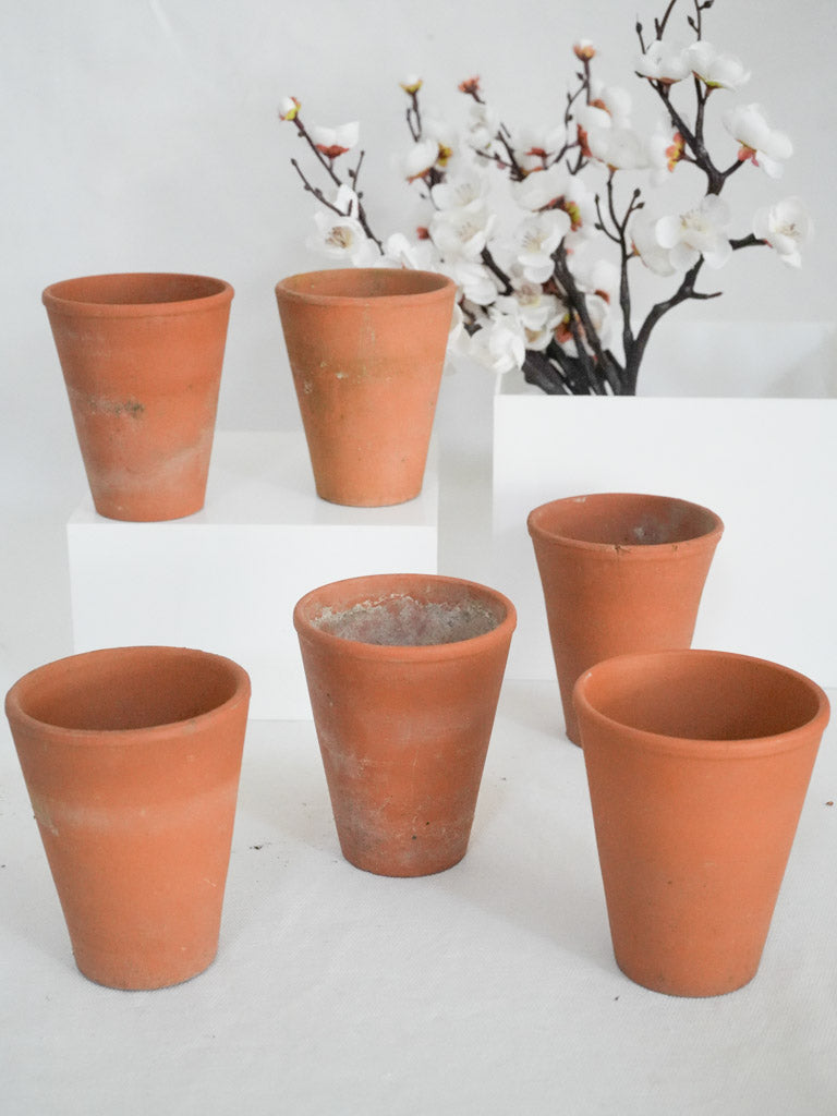 Charming classic rustic plant pots  
