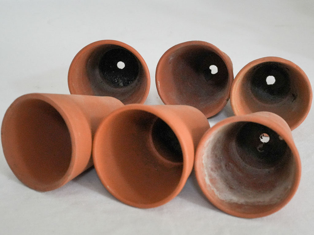 Timeless rustic French window pots  