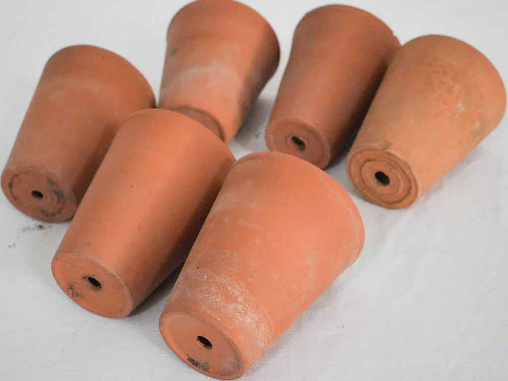 Subtle weathered terracotta plant pots  