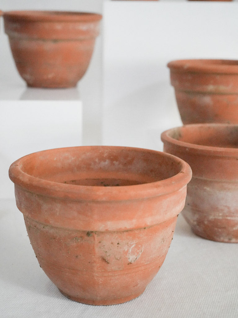 Hand-thrown rustic terracotta planters  