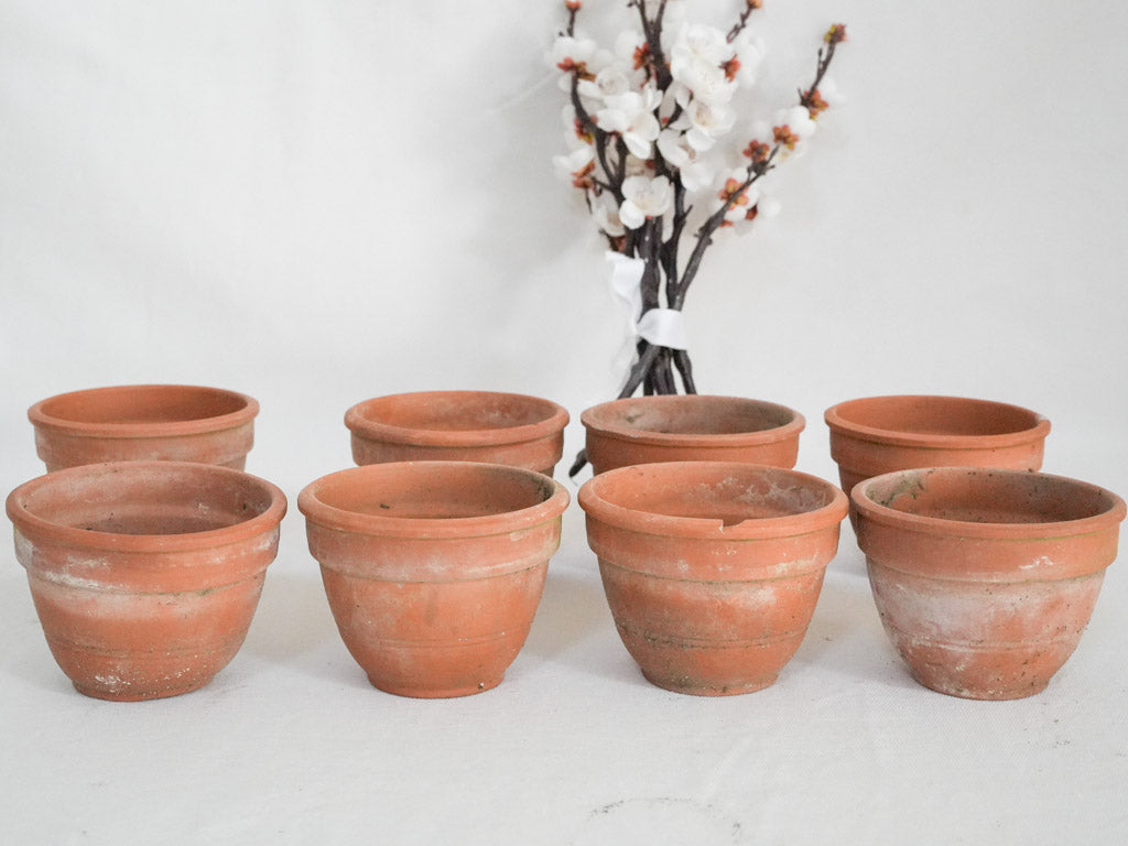 Classic rounded terracotta garden pots  