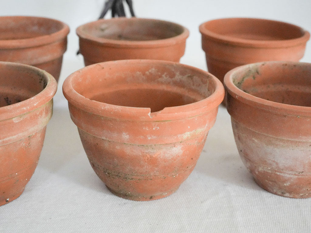 Charming weathered terracotta planters  