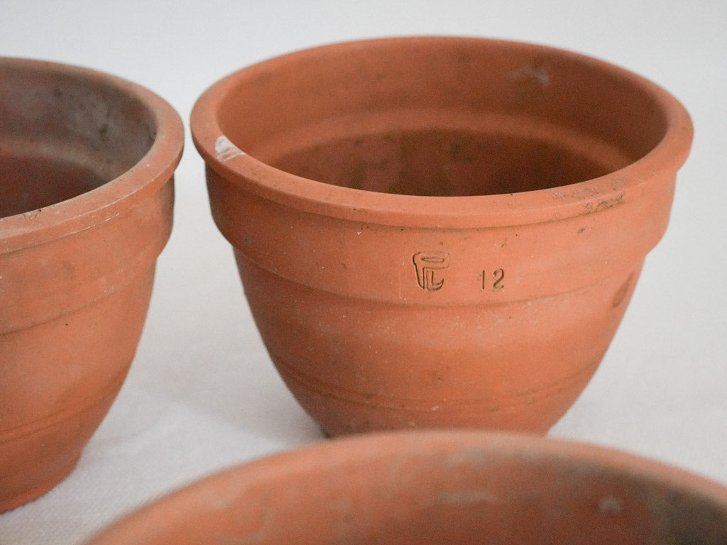 Decorative ridged French terracotta pots  