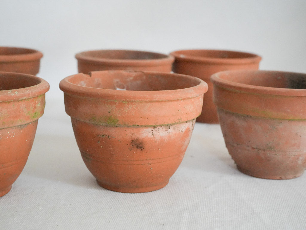 Tapered base French terracotta planters  