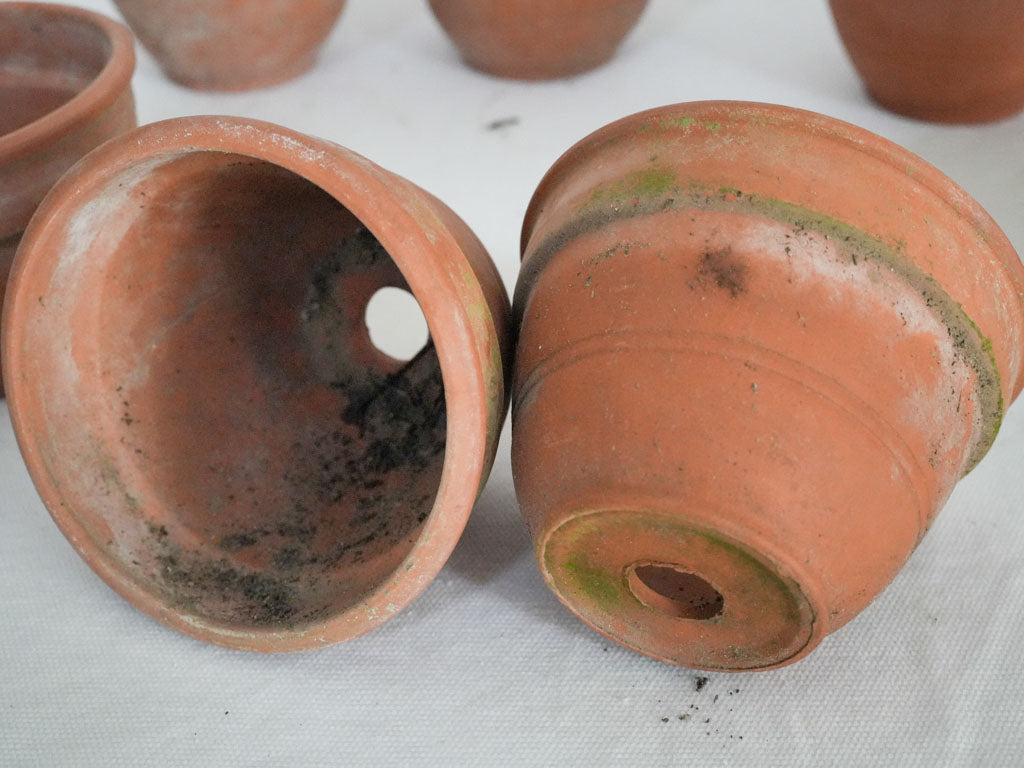 Warm patina terracotta garden pots  