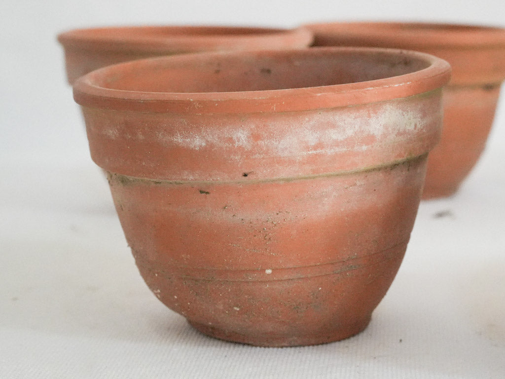 hand thrown terracotta plant pots RESERVED MB Set of 8 Hand-Thrown Small French Terracotta Pots W/ Rounded Shape