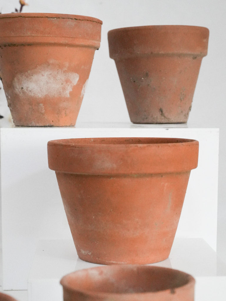 Weathered, charming plant containers