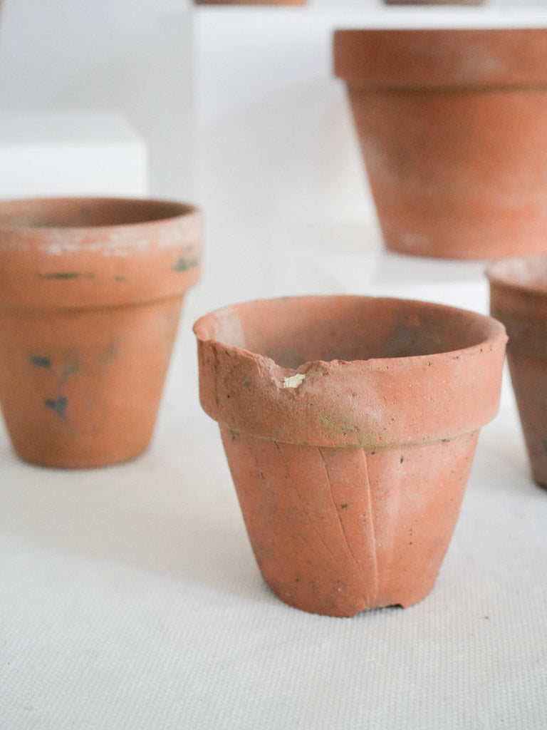 Antique, natural finish garden pots