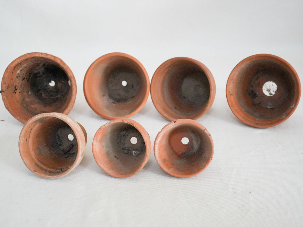 Patina, decorative French terracotta collection