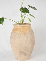 Small 18th century Biot jar 19¼"