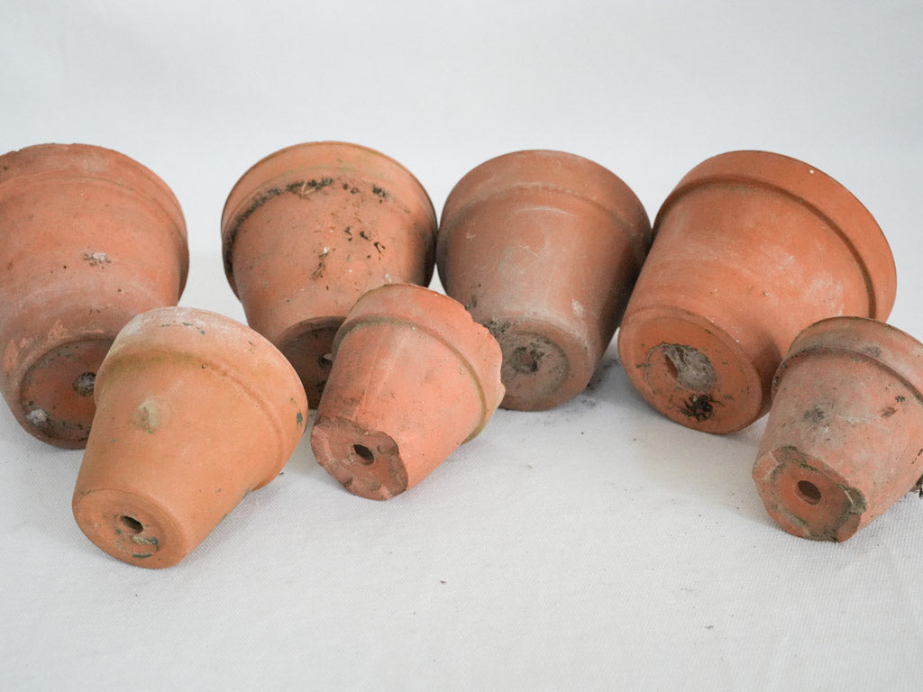 Subtle, varied size plant vessels